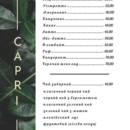 Apartment капрі Mukacheve